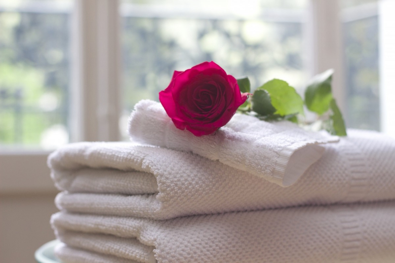 chambre-hote-ST MARTIN DE PALLIERES-min_towel_rose_clean_care_salon_spa_white_bath-731641